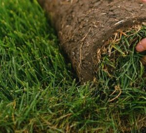 Fertilization & Turf Care 
